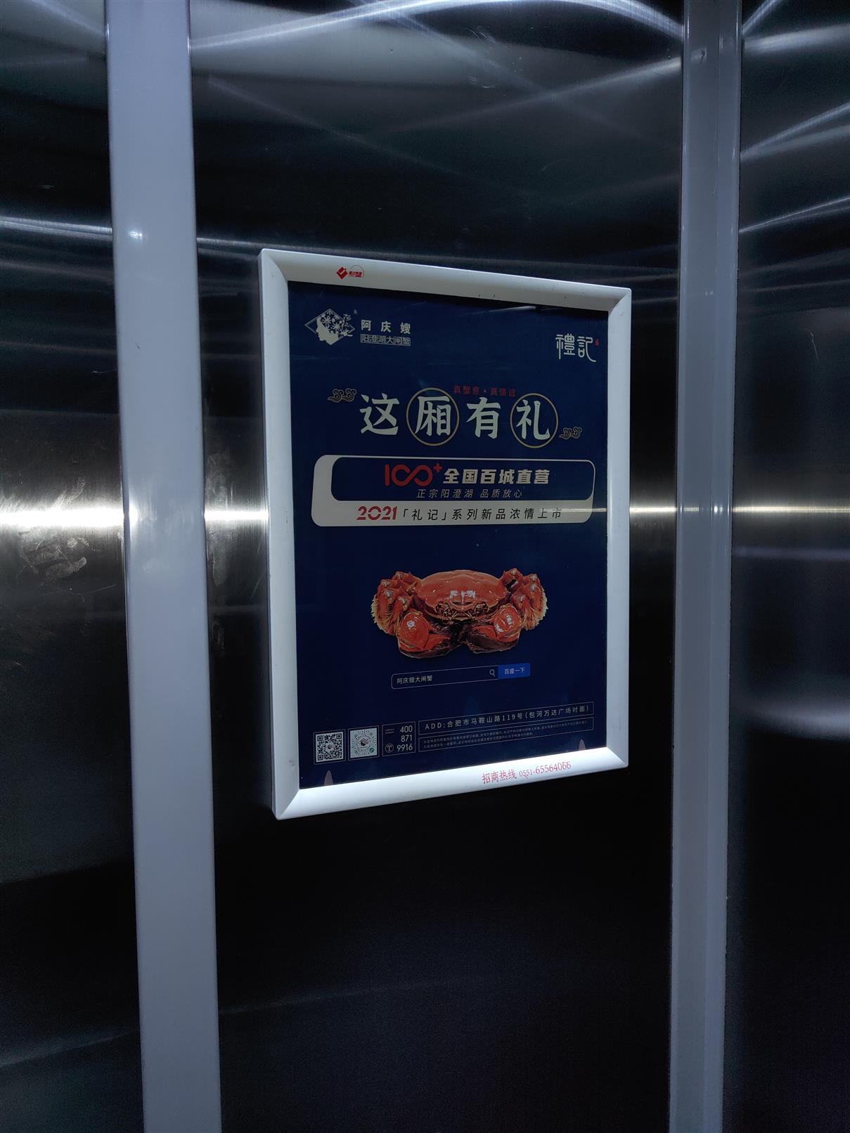 存量深耕与技术跃迁：2026年全球液晶显